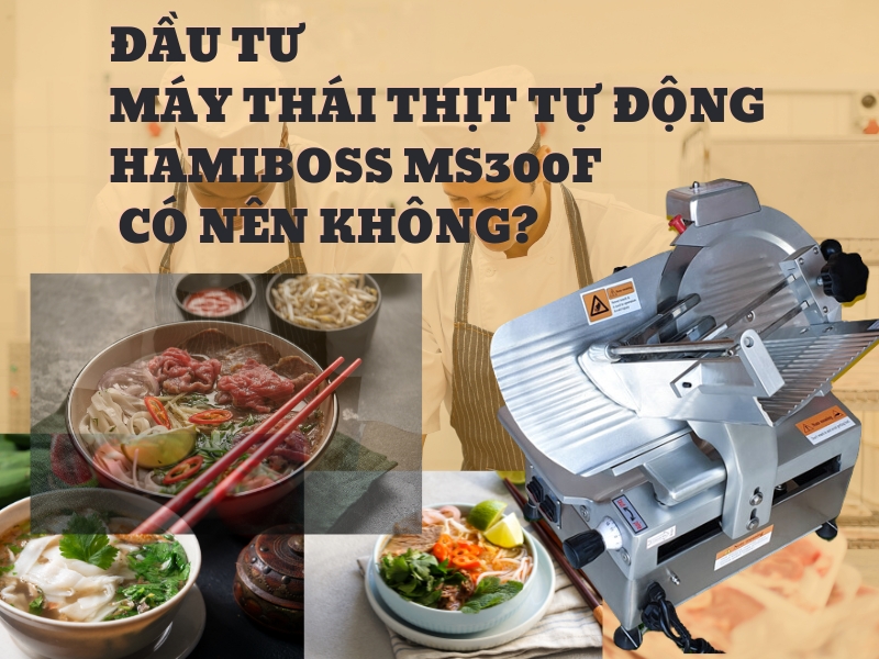 Dau-tu-may-thai-thit-tu-dong-Hamiboss-MS300F-co-nen-khong