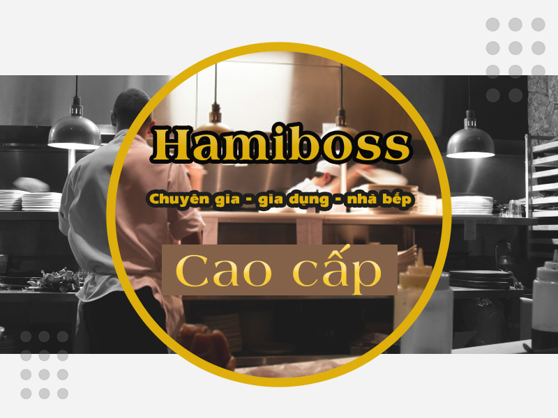 Giới thiệu về thương hiệu Hamiboss