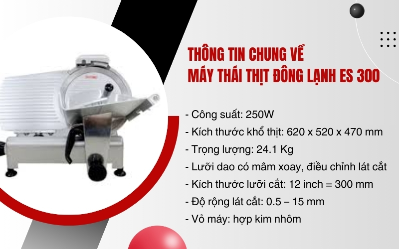 Thông tin chung về máy thái thịt đông lạnh ES 300