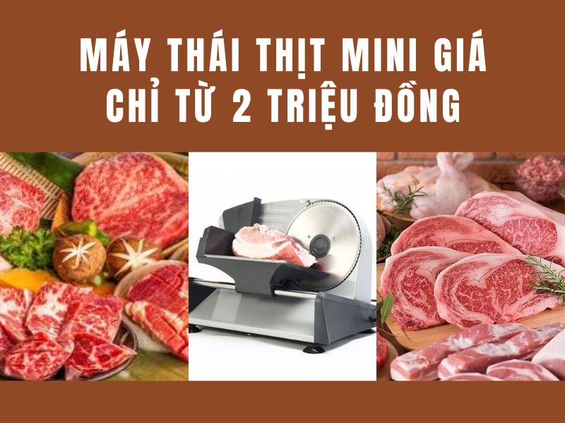 Máy thái thịt mini giá chỉ từ 2 triệu đồng 