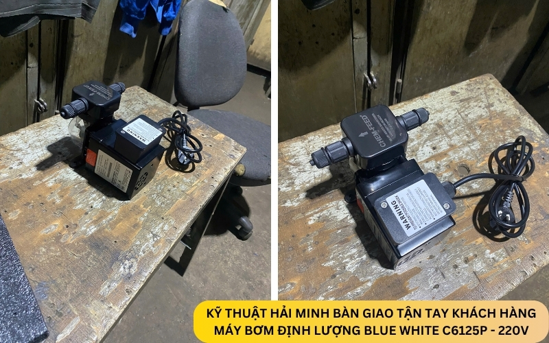 Máy bơm định lượng Blue White C6125P - 220V
