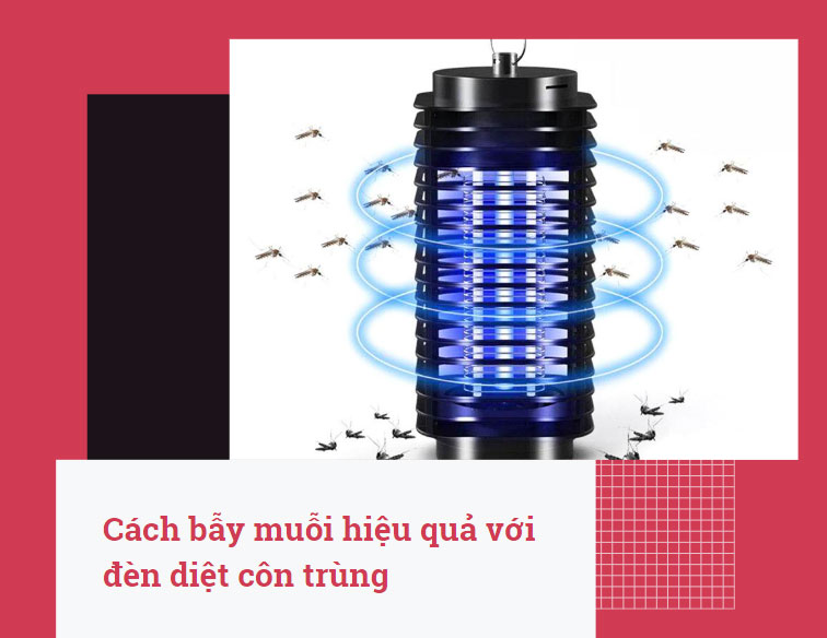 Cách bẫy muỗi hiệu quả với đèn diệt côn trùng