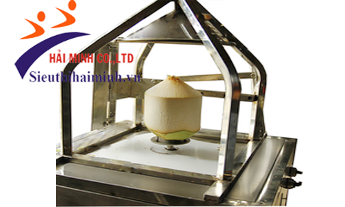 Máy gọt vỏ dừa Yamafuji 1520