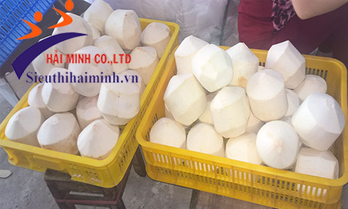 Máy gọt vỏ dừa Yamafuji HM180 cho năng suất cao, sản phẩm đều, đẹp