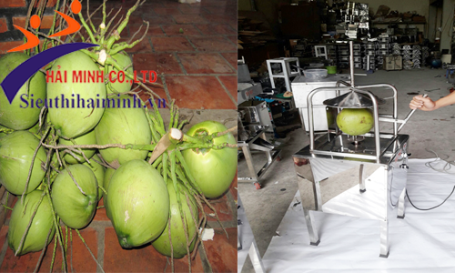 Máy gọt vỏ dừa Yamafuji HM180 