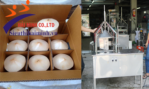 Máy gọt vỏ dừa Yamafuji HM750 với năng saauts cao, sản phẩm đều đẹp