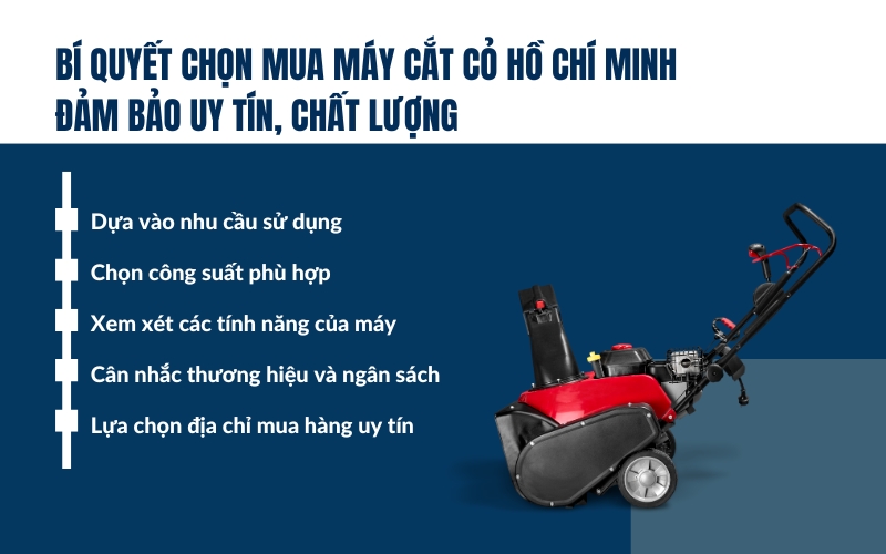 Bí quyết chọn mua máy cắt cỏ Hồ Chí Minh đảm bảo uy tín, chất lượng