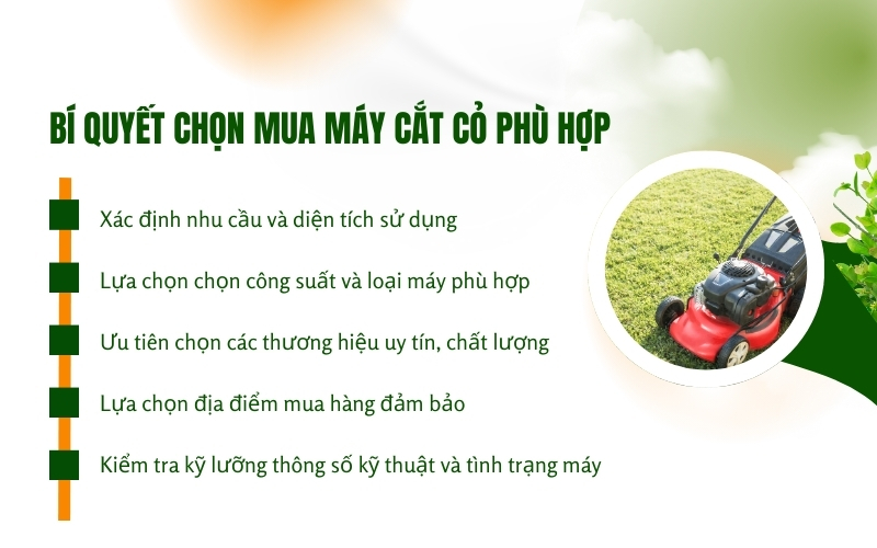 Bí quyết chọn mua máy cắt cỏ phù hợp