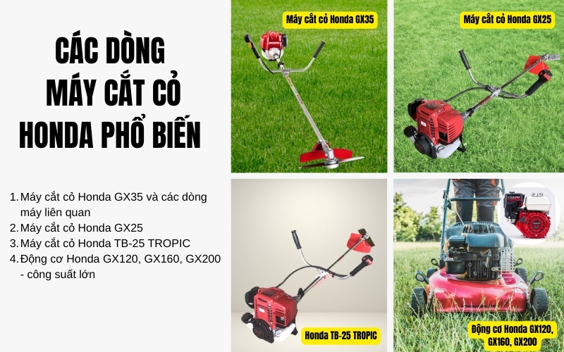 Các dòng máy cắt cỏ Honda phổ biến hiện nay