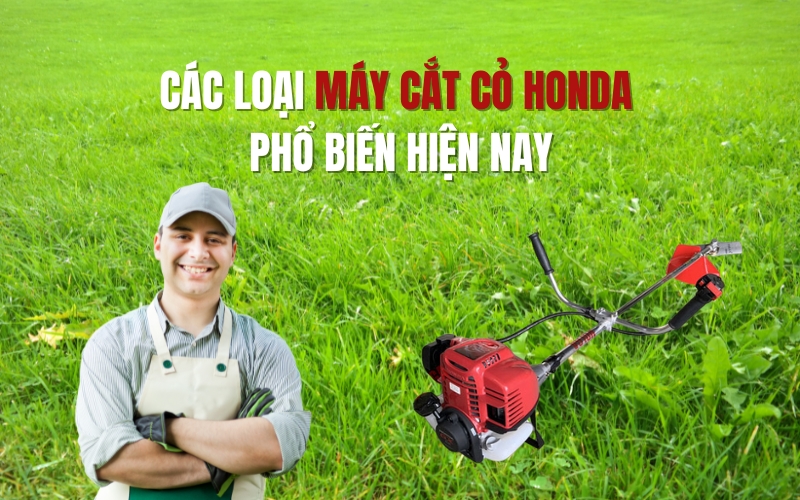Các loại máy cắt cỏ Honda phổ biến hiện nay