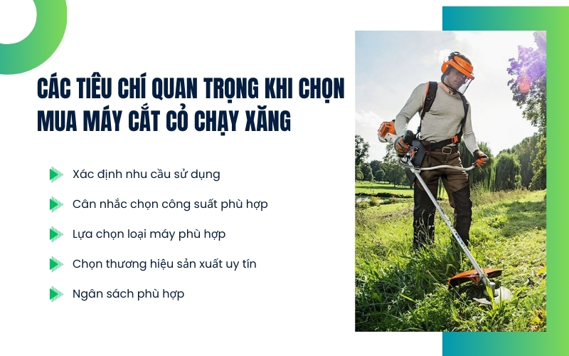 Các tiêu chí quan trọng khi chọn mua máy cắt cỏ chạy xăng