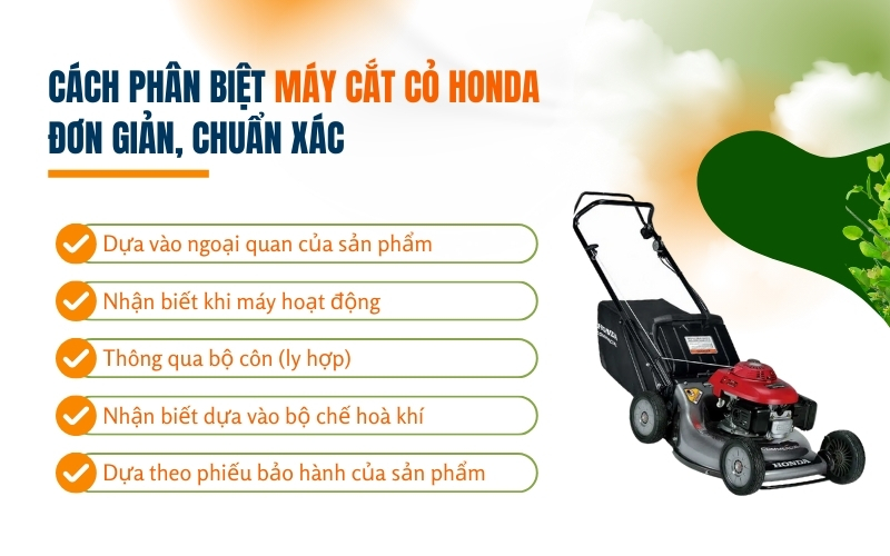 Cách phân biệt máy cắt cỏ Honda đơn giản, chuẩn xác