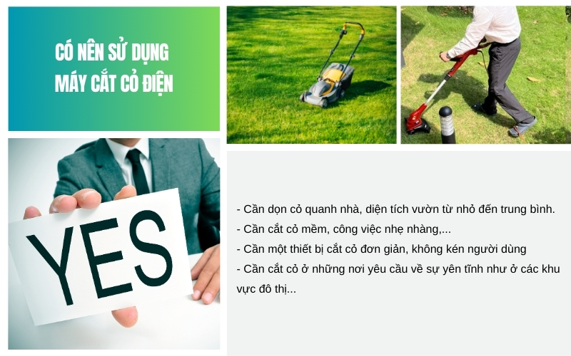 Có nên sử dụng máy cắt cỏ điện