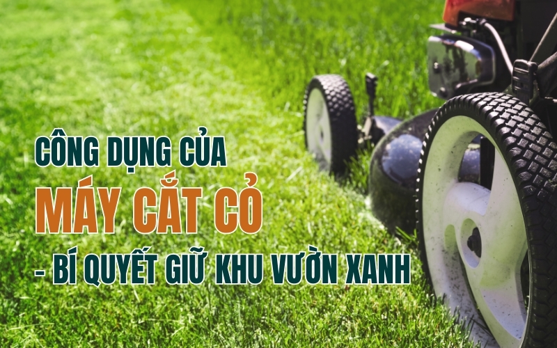 Công Dụng Của Máy Cắt Cỏ – Bí Quyết Giữ Khu Vườn Xanh Mướt