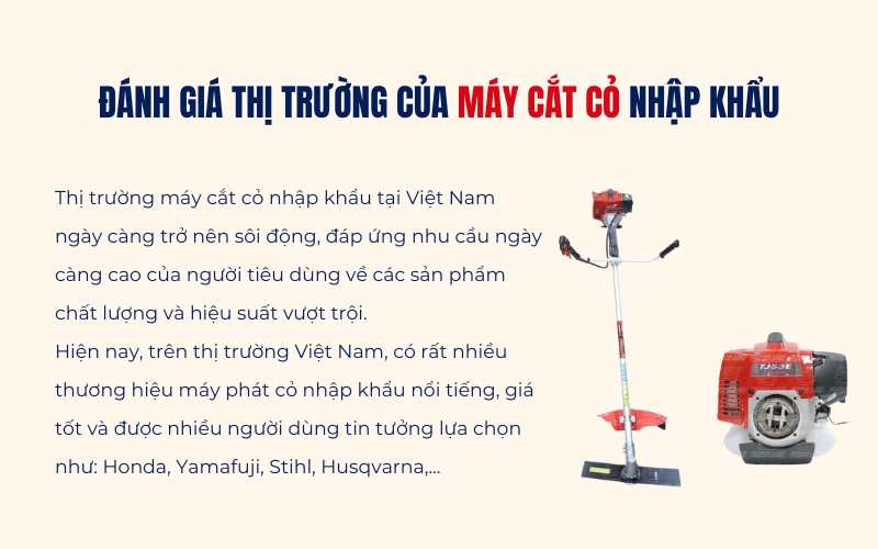 Đánh giá thị trường của máy cắt cỏ nhập khẩu
