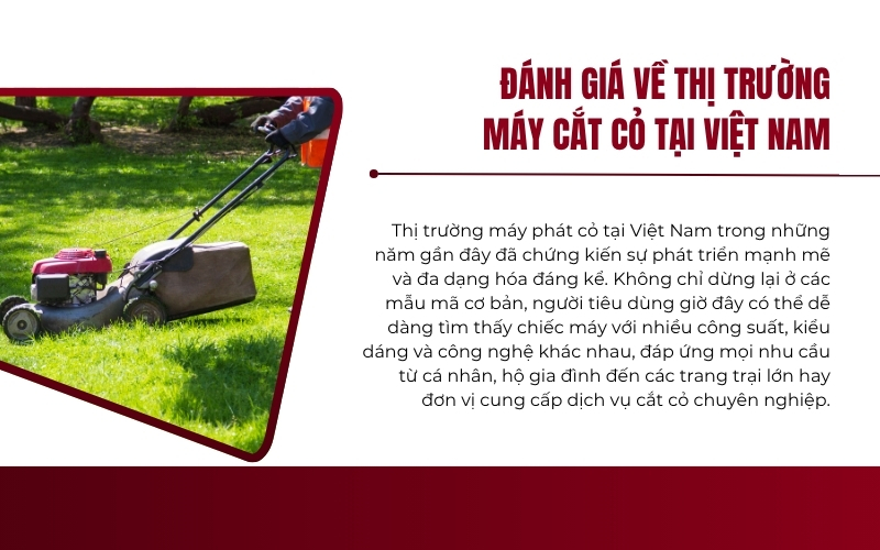 Đánh giá  về thị trường máy cắt cỏ tại Việt Nam