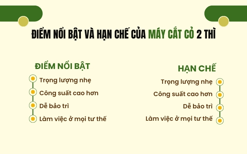 Điểm nổi bật và hạn chế của máy cắt cỏ 2 thì