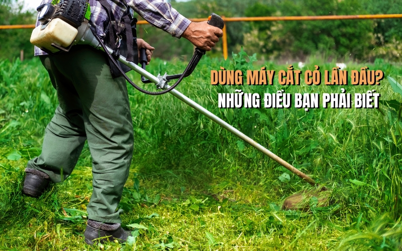 Dùng Máy Cắt Cỏ Lần Đầu? Những Điều Bạn Phải Biết