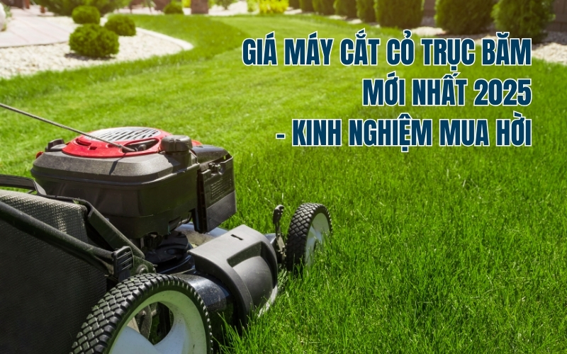 Giá Máy Cắt Cỏ Trục Băm Mới Nhất 2025 - Kinh Nghiệm Mua Hời