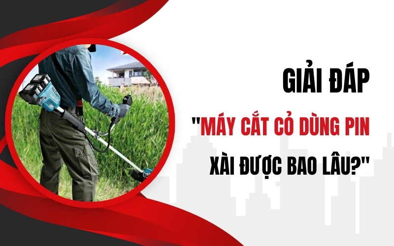 Giải đáp 