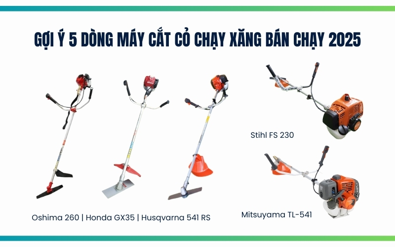 Gợi ý 5 dòng máy cắt cỏ chạy xăng bán chạy 2025