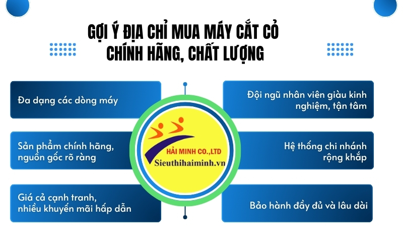 Gợi ý địa chỉ mua máy cắt cỏ chính hãng, chất lượng