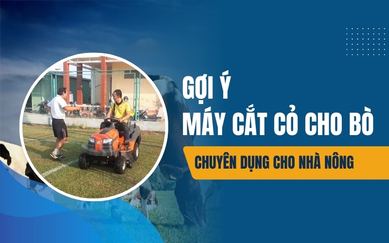 Gợi ý máy cắt cỏ cho bò chuyên dụng cho nhà nông