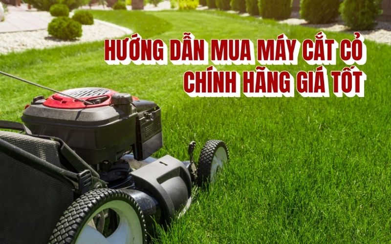 Hướng dẫn mua máy cắt cỏ chính hãng giá tốt