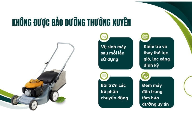 Không được bảo dưỡng thường xuyên