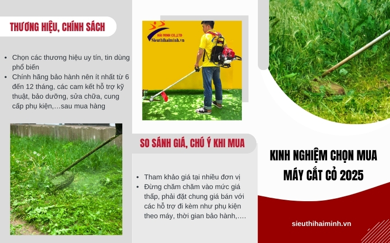 Kinh Nghiệm Chọn Mua Máy Cắt Cỏ