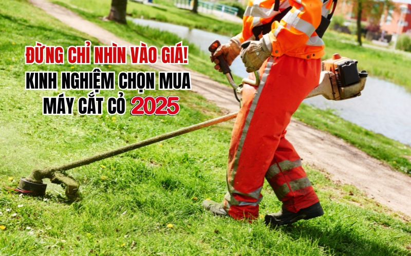 Kinh Nghiệm Chọn Mua Máy Cắt Cỏ 2025 Đừng Chỉ Nhìn Vào Giá
