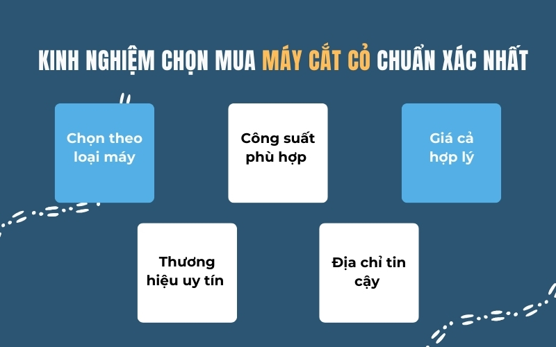 Kinh nghiệm chọn mua máy cắt cỏ chuẩn xác nhất