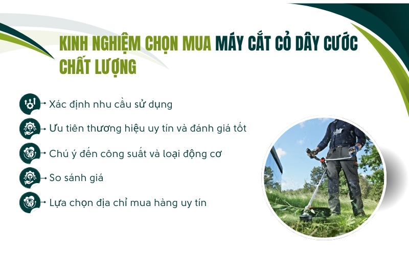 Kinh nghiệm chọn mua máy cắt cỏ dây cước chất lượng