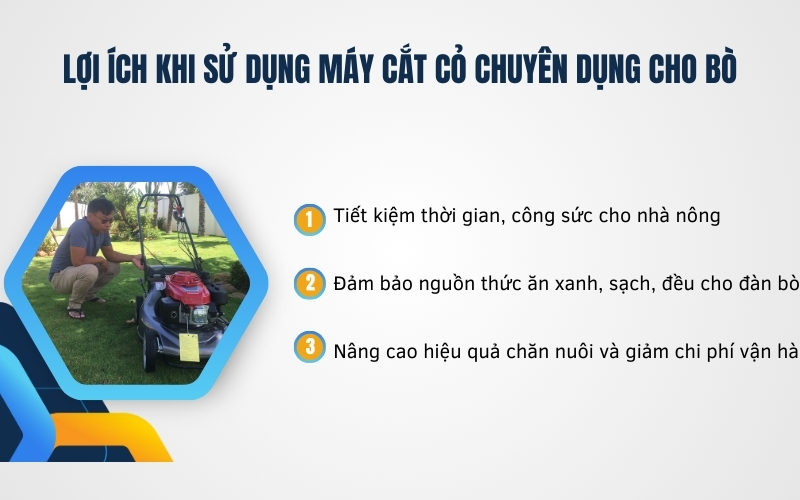 Lợi ích khi sử dụng máy cắt cỏ chuyên dụng cho bò