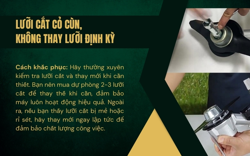 Lưỡi cắt cỏ cùn, không thay lưỡi định kỳ