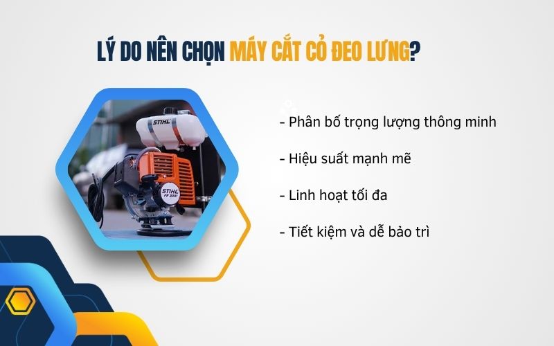 Lý do nên chọn máy cắt cỏ đeo lưng?