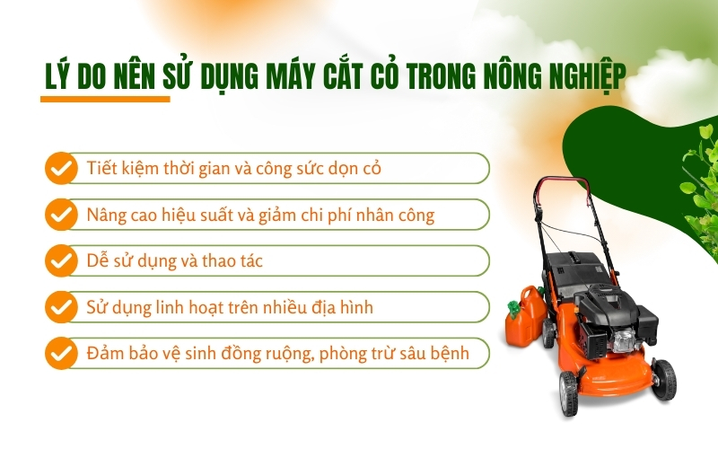 Lý do nên sử dụng máy cắt cỏ trong nông nghiệp