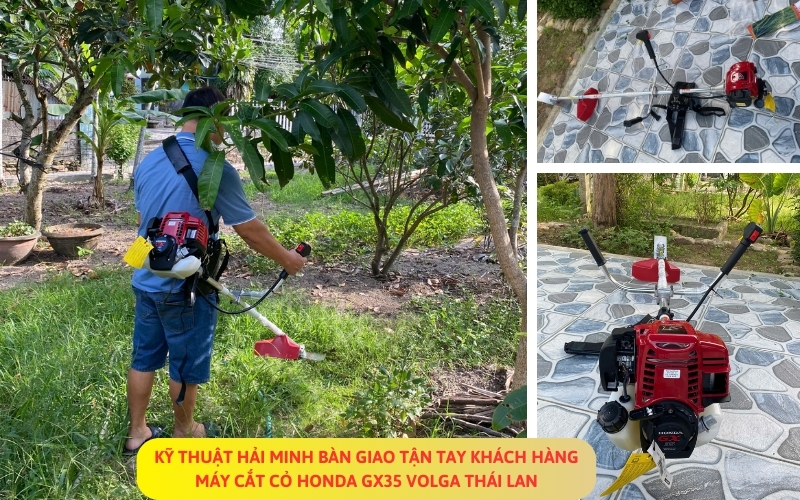 Máy cắt cỏ Honda ​GX35 VOLGA Thái Lan