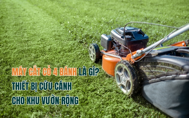 Máy Cắt Cỏ 4 Bánh Là Gì? Thiết Bị Cứu Cánh Cho Khu Vườn Rộng