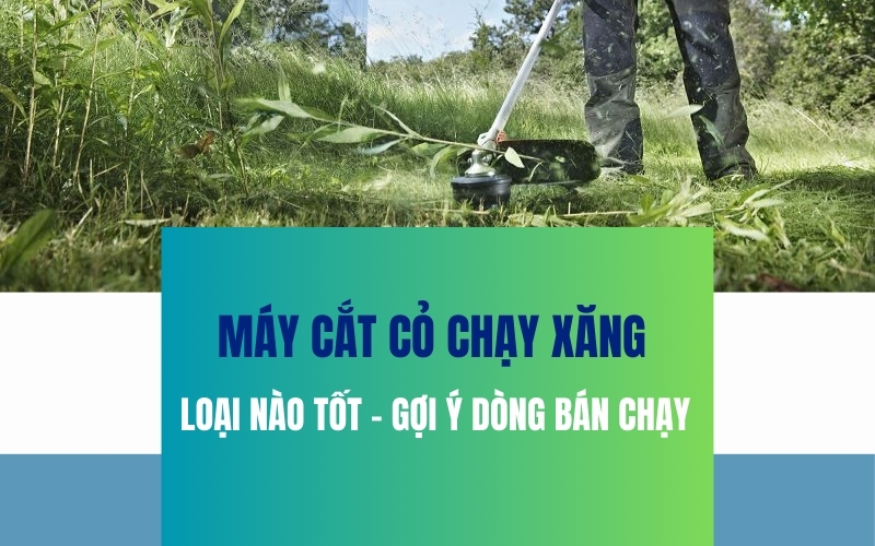 Máy Cắt Cỏ Chạy Xăng Loại Nào Tốt - Gợi Ý Dòng Bán Chạy 