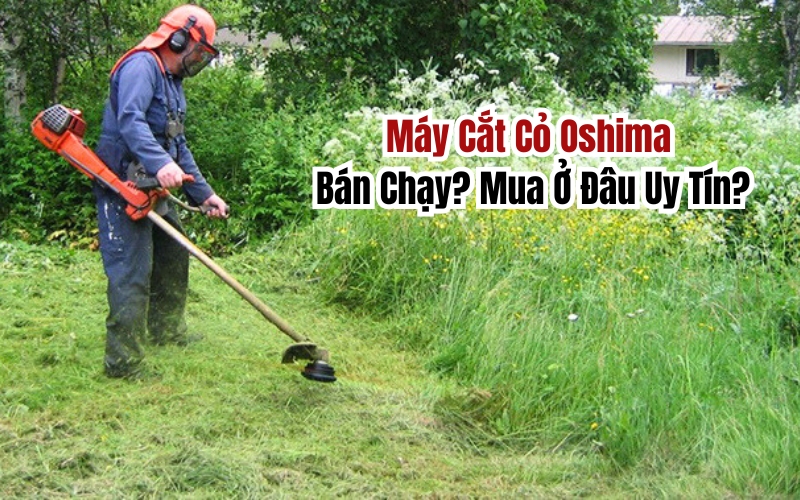 Máy Cắt Cỏ Oshima Bán Chạy? Mua Ở Đâu Uy Tín?