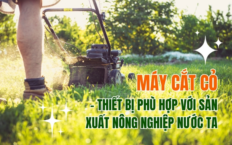 Máy Cắt Cỏ - Thiết Bị Phù Hợp Với Sản Xuất Nông Nghiệp Nước Ta
