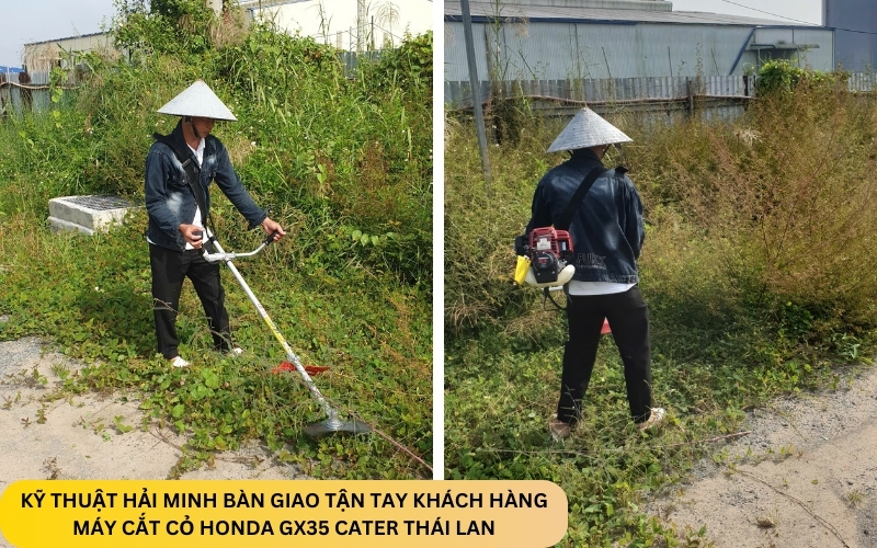 Máy cắt cỏ Honda GX35 Cater Thái Lan