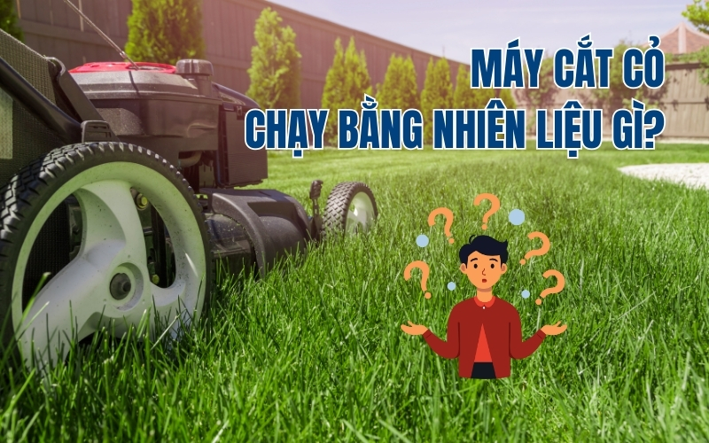 Máy cắt cỏ chạy bằng nhiên liệu gì?