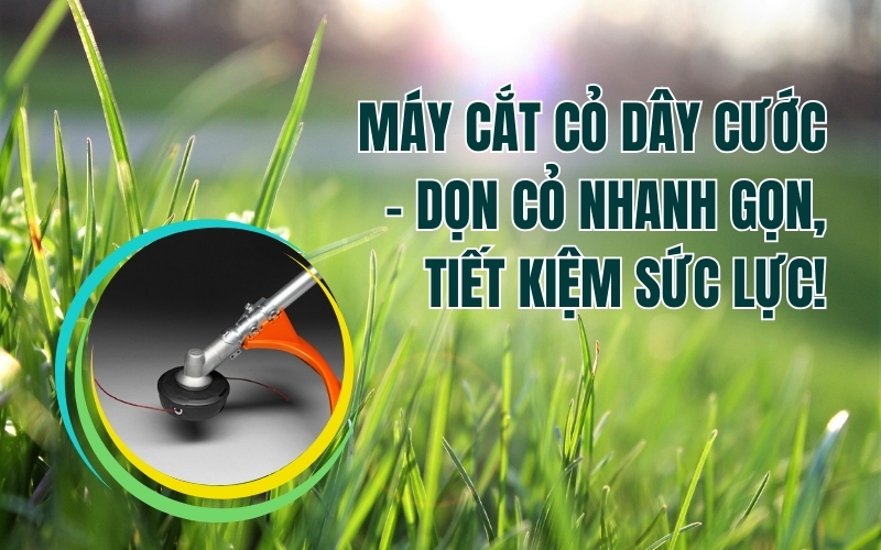 Máy cắt cỏ dây cước – Dọn cỏ nhanh gọn, tiết kiệm sức lực!
