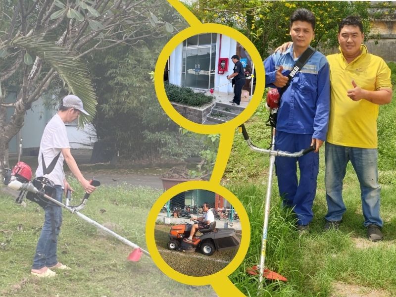 Máy cắt cỏ - lựa chọn hàng đầu cho ngành nông nghiệp