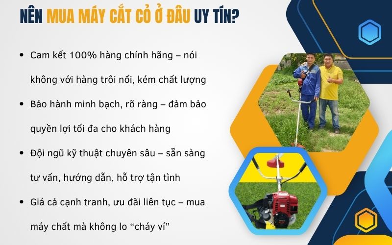 Nên mua máy cắt cỏ ở đâu uy tín?
