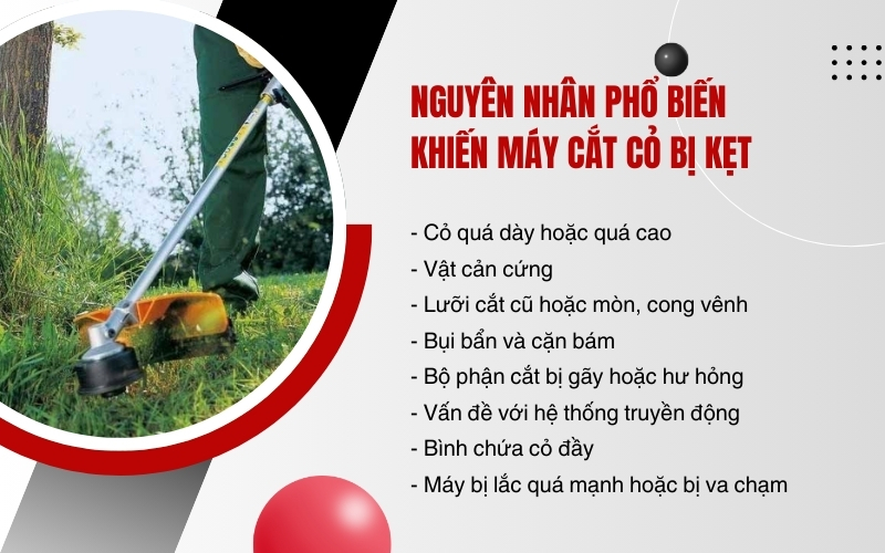 Nguyên nhân phổ biến khiến máy cắt cỏ bị kẹt