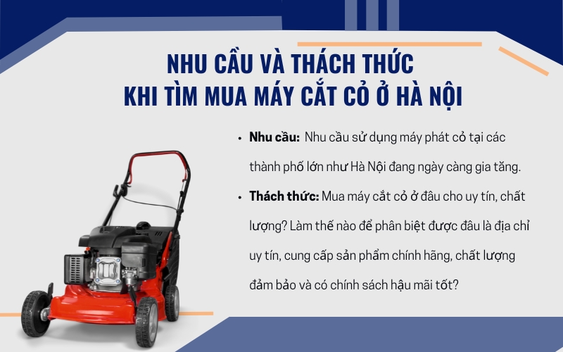 Nhu cầu và thách thức khi tìm mua máy cắt cỏ ở Hà Nội