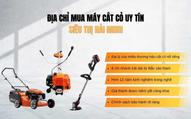 Siêu thị Hải Minh địa chỉ cung cấp máy phát cỏ uy tín